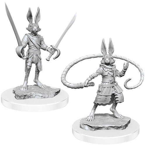 Dungeons & Dragons Nolzur`s Marvelous Unpainted Miniatures: W17 Harengon Rogues