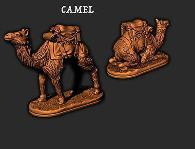 Empire of the Scorching Sands - Camel 2