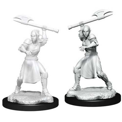 Critical Role Unpainted Miniatures: W1 Half-Elf Echo Knight & Echo